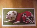 Picture: Georgia Bulldogs UGA with Georgia Helmet Poster Print entitled "Dawg Days."