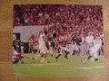 Picture: Nick Chubb Georgia Bulldogs original 20 X 30 poster against Clemson. We are the copyright holders of this image and the quality and clarity is fantastic. This is Chubb's amazing 47-yard touchdown run.
