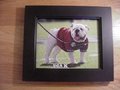 Picture: UGA X Georgia Bulldogs original and high quality 11 X 14 photo professionally framed in very nice black wood to 14 1/2 X 17 1/2.