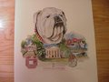 Picture: Georgia Bulldogs "The University of Georgia" 1990 limited edition print is signed and numbered by the artist. This print features Sanford Stadium, Stegeman Coliseum, the 1990 Baseball World Series Champs, and other University Buildings. We have just one of these prints!