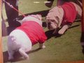 Picture: UGA VIII and Russ the Dog Georgia Bulldogs at the "Changing of the Bone" ceremony October 16, 2010.
