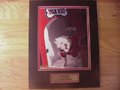 Picture: UGA VIII Georgia Bulldogs original 8 X 10 photo double matted to 11 X 14 with a gold-colored identification plate.