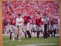Picture: Jeremy Pruitt Georgia Bulldogs original 20 X 30 poster against Clemson. We are the copyright holders of this image and the quality and clarity is fantastic.