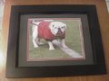 Picture: UGA IX Georgia Bulldogs original 8 X 10 photo professionally double matted and framed in black wood to 14 X 17.
