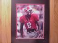 Picture: A.J. Green Georgia Bulldogs original vertical 8 X 10 photo professionally double matted to 11 X 14 so that it fits a standard frame.