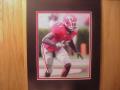 Picture: Greg Blue #2 Georgia Bulldogs original 8 X 10 photo professionally double matted to 11 X 14 so that it fits a standard frame.