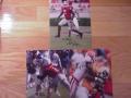 Picture: DeMario Minter hand-signed original Georgia Bulldogs Photo. You have three options on this one so choose any one for this great price. The autograph is absolutely guaranteed authentic and comes with a Certificate of Authenticity from Georgia Bulldogs Prints.