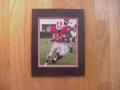 Picture: Knowshon Moreno "Talk to the Hand" Georgia Bulldogs original 8 X 10 photo professionally double matted to 11 X 14 so that it fits a standard frame.