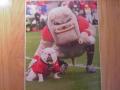 Picture: UGA 7 and Hairy Dawg Georgia Bulldogs original 16 X 20 photo print.