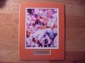 Picture: Peyton Manning Tennessee Volunteers In the Pocket original 8 X 10 photo professionally double matted in team colors to 11 X 14 to fit a standard frame with a gold plate that reads "Peyton Manning, #16, Tennessee Volunteers."