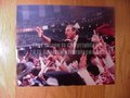 Picture: Vince Dooley Georgia Bulldogs 20 X 30 poster.