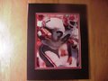 Picture: Herschel Walker Georgia Bulldogs original 8 X 10 photo professionally double matted to 11 X 14 to fit a standard frame.