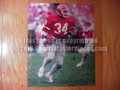 Picture: Herschel Walker Georgia Bulldogs 20 X 30 poster.