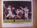 Picture: Alabama Crimson Tide "Crimson Black-Eye" print signed by artist Alan Zuniga includes John Parker Wilson, Julio Jones and Terrence "Mount" Cody.