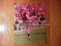 Picture: Drew Butler Georgia Bulldogs original 8 X 10 photo.