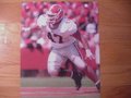 Picture: David Pollack Georgia Bulldogs 16 X 20 photo print.