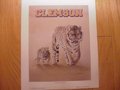 Picture: Clemson Tigers "Is it My Turn Dad?" 10 X 12 art print with an image area of 8 X 10.