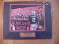 Picture: Cam Newton with the Auburn Tigers Fans photo double matted in team colors to 11 X 14 with a plate that reads "Auburn Tigers, 2010 National Champions, Auburn 22-Oregon 19."