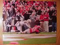 Picture: Michael Bennett Georgia Bulldogs 20 X 30 touchdown against Auburn in Georgia's 45-7 win.