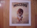 Picture: This is an original 10 X 12 Missouri Tigers art print with an image area of 8 X 10 entitled "On the Prowl." In excellent shape with no pin holes or tears.