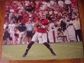 Picture: Aaron Murray Georgia Bulldogs 16 X 20 poster in the 41-30 South Carolina win in 2013.