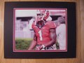 Picture: Sony Michel Georgia Bulldogs original 8 X 10 photo against Clemson professionally double matted in team colors to 11 X 14. We are the copyright holders of this image and the quality and clarity is fantastic.