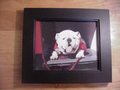 Picture: UGA X Georgia Bulldogs original and high quality 11 X 14 photo professionally framed in very nice black wood to 14 1/2 X 17 1/2.