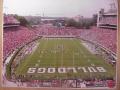 Picture: Georgia Bulldogs Sanford Stadium original 16 X 20 print. The most recent Sanford Stadium print on the market and this is absolutely a GeorgiaBulldogsPrints.com exclusive!