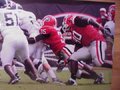 Picture: Rennie Curran Georgia Bulldogs 16 X 20 photo print.