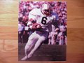 Picture: Lionel James Auburn Tigers original 16 X 20 poster print. Sports Masterpieces is the copyright owner of this image.