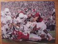 Picture: Alabama Crimson Tide 2009 National Champions 16 X 20 print features Mark Ingram scoring a touchdown against Texas. This print fits a standard frame so you can have a nice large National Championship piece at a very affordable price.