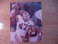 Picture: David Pollack Georgia Bulldogs 11 X 14 photo.