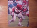 Picture: David Pollack Georgia Bulldogs 11 X 14 photo.