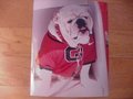 Picture: UGA VIII Georgia Bulldogs original photo.