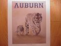 Picture: Auburn Tigers "Is it My Turn Dad?" 10 X 12 art print with an image area of 8 X 10.