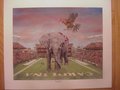 Picture: South Carolina Gamecocks "Gotcha" 10 X 12 print with an image area of 8 X 10 satirizes Alabama's 2010 loss to the Gamecocks.