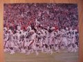 Picture: The Auburn Tigers rush the field as the 2010 SEC Champions original 16 X 20 photo/print. We are the exclusive copyright holders of this image.
