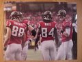 Picture: Matt Ryan, Roddy White, and Tony Gonzalez Atlanta Falcons original 16 X 20 photo/print.