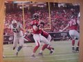 Picture: Matt Ryan Atlanta Falcons original 16 X 20 photo/print.