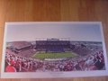 Picture: South Carolina Gamecocks Williams Brice Stadium "Gamecocks Turn Tide" original stadium poster/print of South Carolina's 35-21 win over Alabama on October 9, 2010.