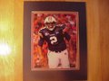 Picture: Cam Newton Auburn Tigers original 8 X 10 photo double matted in Auburn colors to 11 X 14.