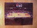 Picture: Louisville Cardinals Freedom Hall original 11 X 14 photo.