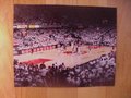 Picture: Louisville Cardinals Freedom Hall original 11 X 14 photo.