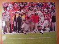 Picture: Carlton Thomas Georgia Bulldogs 20 X 30 run against Auburn.