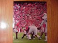 Picture: Aaron Murray Georgia Bulldogs 8 X 10 photo against Auburn in the team's 45-7 win.