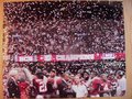 Picture: This is an original Alabama Crimson Tide 2011 BCS National Championship game photo of Nick Saban and his team with confetti all around them after winning the school's 14th National Championship.