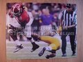 Picture: Eddie Lacy Alabama Crimson Tide 2011 BCS National Championship game photo/print.