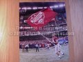 Picture: Alabama Crimson Tide 2011 BCS National Championship game photo/print.