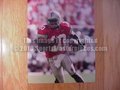 Picture: Troy Smith Ohio State Buckeyes original 8 X 10 glossy photo.