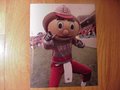 Picture: Brutus the Buckeye Ohio State Buckeyes original 16 X 20 photo/poster.